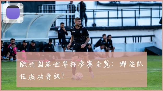 欧洲国家世界杯参赛全览：哪些队伍成功晋级？