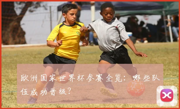 欧洲国家世界杯参赛全览：哪些队伍成功晋级？