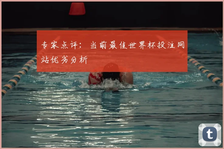 专家点评：当前最佳世界杯投注网站优劣分析