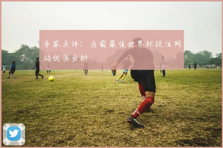 专家点评：当前最佳世界杯投注网站优劣分析