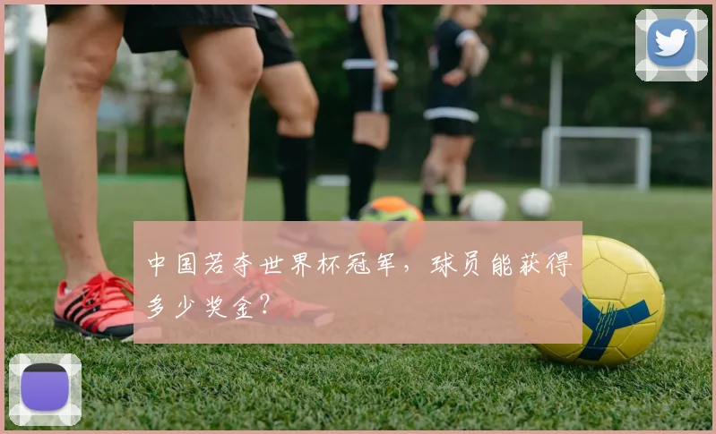 中国若夺世界杯冠军，球员能获得多少奖金？