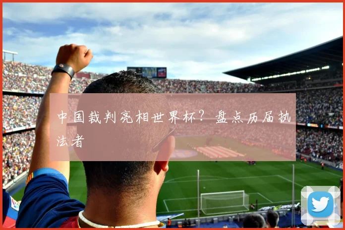 中国裁判亮相世界杯？盘点历届执法者